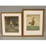 A pair of Regency period coloured engravings, of fighting cocks, engraved by E Turner, and sold by