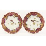 A pair of Chelsea gold anchor Plates,c.1756-1769, each decorated with an exotic bird surrounded by