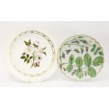A Worcester 'Blind Earl' Plate,c.1770, moulded and painted with leaves and buds on a ground