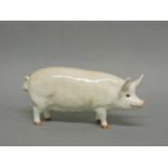 A Beswick pig, Champion Wall Queen