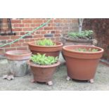 A pair of large terracotta pots, and two smaller examples, all planted with hostas