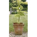 A terracotta circular planter, moulded with swag decoration, 55cm diameter, together with a square