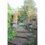 A pair of cast iron campana urns, each planter with Japanese maple, 78cm high, 59cm diameter