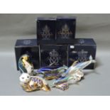 Five various Royal Crown Derby porcelain paperweights, to include Harbour Seal, Lyme Bay Dolphin,