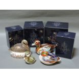 Four various Royal Crown Derby porcelain paperweights, to include Black Swan, Teal, Derbyshire