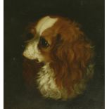 Attributed to Alfred Wheeler (1851-1932)HEAD OF A KING CHARLES SPANIEL;HEAD OF A TERRIERA pair,