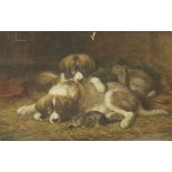 Horatio Henry Couldery (1832-1918)TWO ST. BERNARD PUPPIES, A KITTEN AND A RABBITSigned l.r., oil