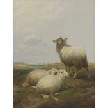 Thomas Sidney Cooper RA (1803-1902)SHEEP AT PASTURESigned and dated 84 l.l., oil on panel40.7 x 30.