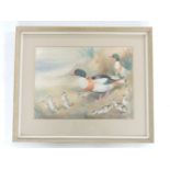 Roland GreenSHELDUCK AND DUCKLINGSSigned, watercolour36 x 26cm