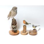 Three original wood carvings, by Frank Haywood, comprising a robin, a wagtail, and a little owl