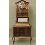 An Edwardian mahogany vitrine glazed cupboard, over glazed cover section