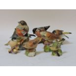 Four Royal Worcester Birds, 'Goldfinch', 'Nightingale', 'Hedge Sparrow', 'Marsh Tit' and 'Gold