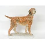 A Herend setter, 35cm high