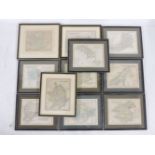 Eleven assorted 19th century and later prints of maps of various counties