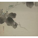 Five watercolours, late 19th/early 20th century, a grasshopper on a branch, grasses against daisies,