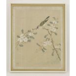A set of four gouache paintings, 20th century, with finches on blossoming branches including
