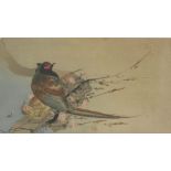 Four woodblock prints, c.1800 and later, an eagle swooping on a duck, a cock and hen pheasant