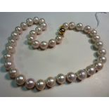 A large single strand South Sea pearl Necklace with a 9 carat yellow gold pearl style clasp