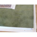 A large modern 'apple green' Carpet having banded edges, approx.