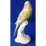 A Royal Worcester porcelain Model of a green and yellow Budgerigar perched on a tree stump,