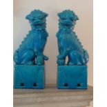 A pair of large turquoise glaze Chinese Karashishi (Buddhistic Temple Lions), each open mouthed,