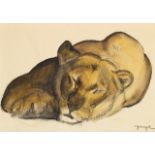 George GUYOT (1885-1973) LionAquarelle et crayon sur papierSignée en bas à droite12 x 17 cm