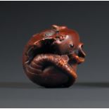 NETSUKEen bois de patine brun-rouge, représentant un rat en boule, une patte sur le museau, les
