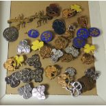 A small collection of Girl Guide badges - brass, white metal and enamelled