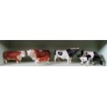 Glazed ceramic Hereford bull, cow & calf and similar Friesan bull, cow and calf