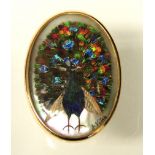 A large 9ct gold mounted brooch/pendant, the convex glass cover enclosing a peacock made from