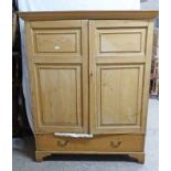 19TH CENTURY PINE CUPBOARD WITH 2 PANEL DOORS OVER DRAWER