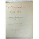 THE WILDFOWLER IN SCOTLAND BY JOHN GULLIE MILLAIS - 1901 HALFBOUND WITH ILLUSTRATIONS
