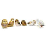Seven Royal Crown Derby paperweights including: Short Eared Owlet (gold stopper), Little Owl (gold
