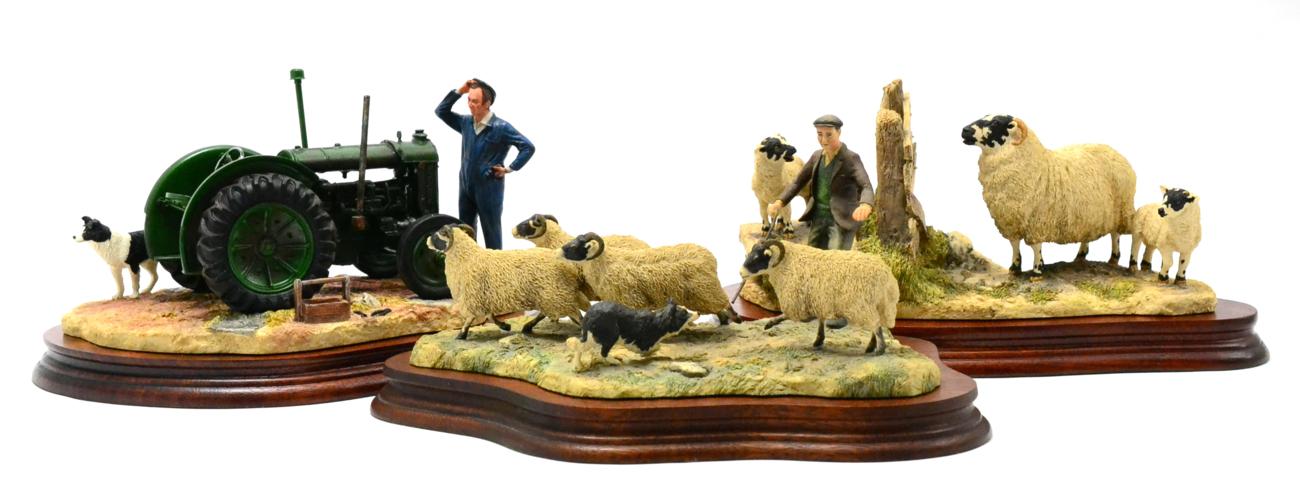 Border Fine Arts 'Shedding' (Shepherd, collie and sheep), model No. L113 by Ray Ayres, limited