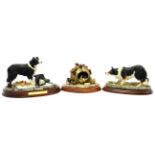 Border Fine Arts Collie figurines comprising: 'Border Collie' (Style three), model No. B0449B by