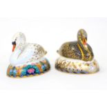 Two Royal Crown Derby paperweights including: Black Swan (gold stopper) and White Swan (silver