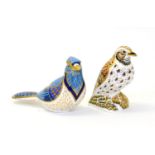Two Royal Crown Derby paperweights including: Blue Jay (silver stopper) and Song Thrush (gold