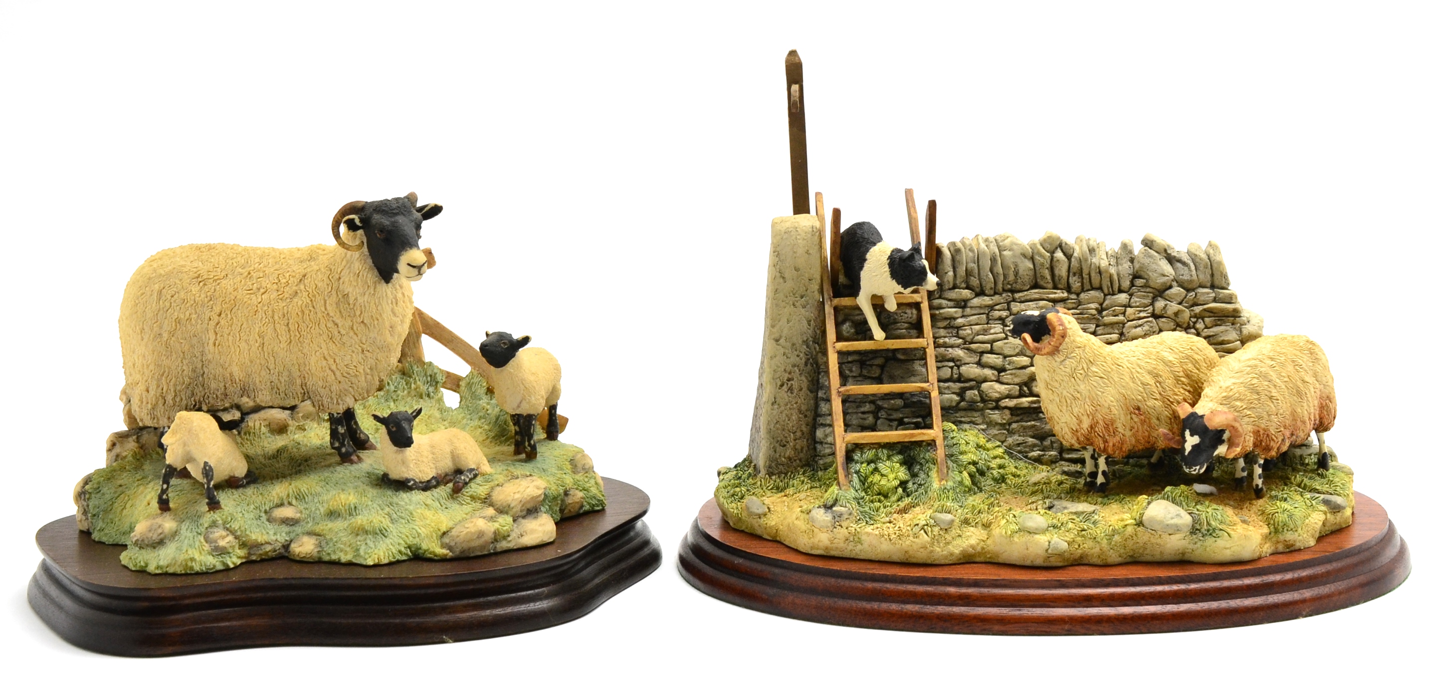 Border Fine Arts 'Element of Surprise' (Collie and Sheep), model No. B0089 by Ray Ayres, on wood