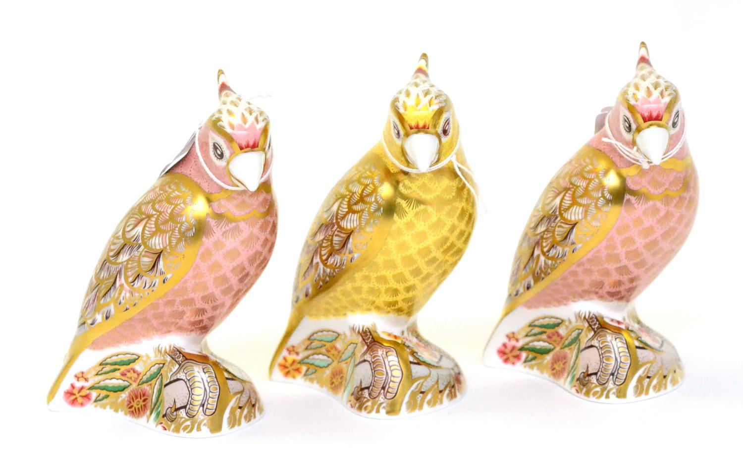 Three Royal Crown Derby Cockatoo paperweights including: Citron Cockatoo and two others (each with
