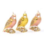 Three Royal Crown Derby Cockatoo paperweights including: Citron Cockatoo and two others (each with