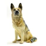 Beswick Fireside Alsatian, model No. 2410, gloss