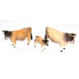 Beswick Cattle comprising: Jersey Bull Ch. 'Dunsley Coy Boy', model No. 1422 (a.f), Jersey Cow