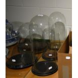 Five glass domes and bases