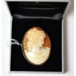 A Victorian shell cameo brooch