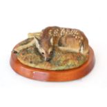 Border Fine Arts 'Roe Deer Fawn' (Lying), Style One, model No. L09 by Victor Hayton, limited edition