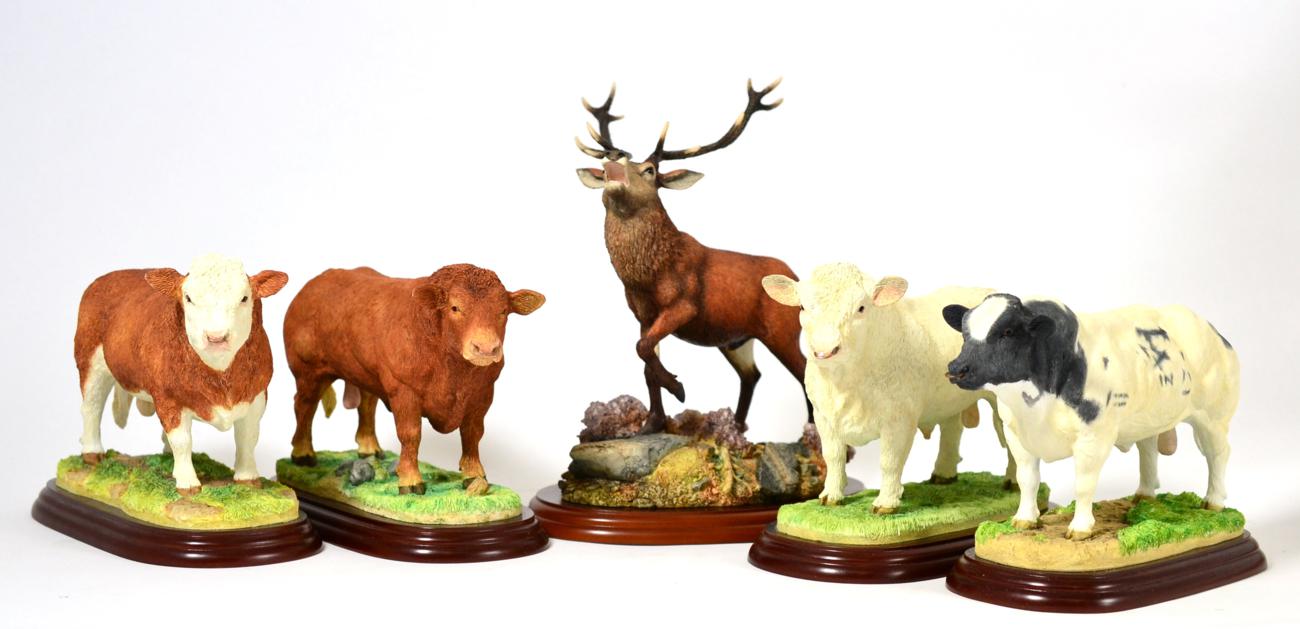 Border Fine Arts Cattle Breeds, County Show Studio Models Comprising: 'Charolais Bull', model No.