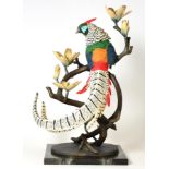 Border Fine Arts 'Lady Amherst's Pheasant', model No. B0328 by Richard Roberts, limited edition 65/