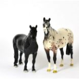 Beswick Horses Comprising: Fell Pony 'Dene Dauntless', model No. 1647, black gloss; Appaloosa