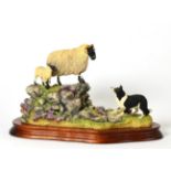 Border Fine Arts 'Holding Her Ground' (Ewe, Lamb and Border Collie), model No. B0198 by Ray Ayres,