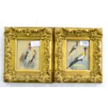 Pair of 19th century gilt framed mixed media pictures of birds, feather applique and watercolour